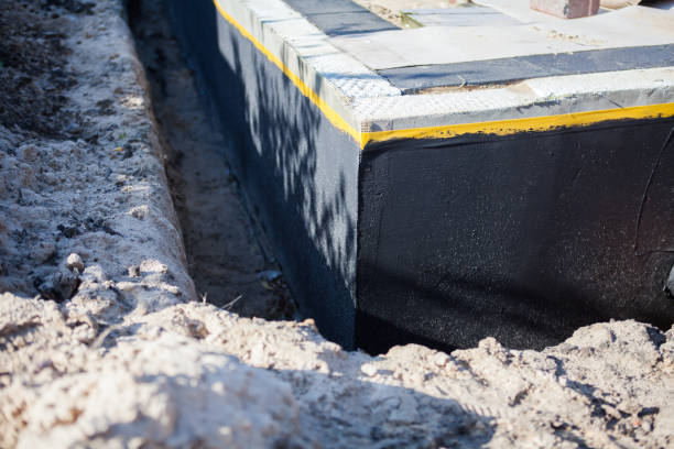 Professional Interior Drainage System technician working in Alexandria, TN